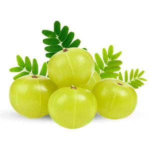 Amla